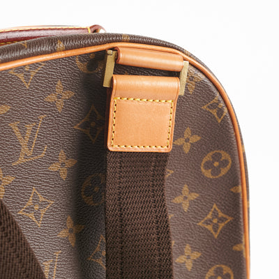 Louis Vuitton Monogram Sac a Dos Packall PM 862302 For Sale at 1stDibs  louis  vuitton sac a dos packall, louis vuitton epi gobelins backpack, louis  vuitton packall