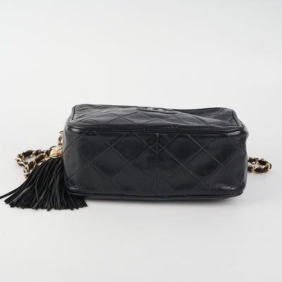 Louis Vuitton Camera Bag With Tassel - For Sale on 1stDibs