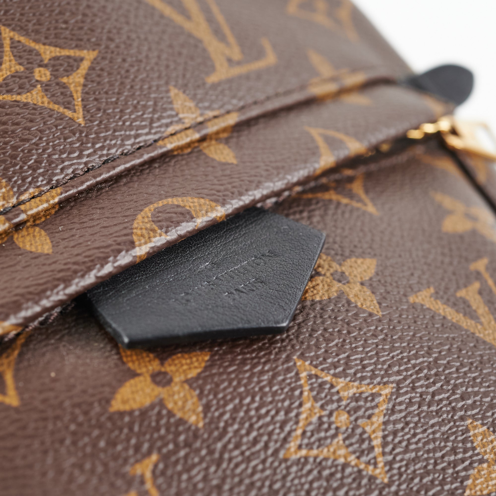 Louis Vuitton Monogram Palm Spring PM - Brown Backpacks, Handbags