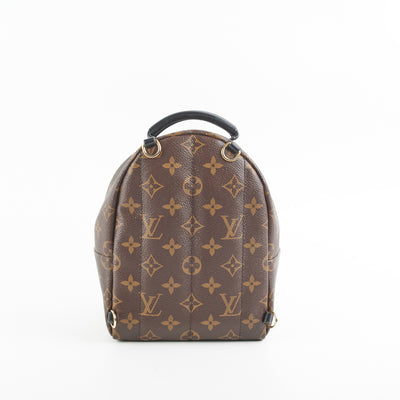 Louis Vuitton Palm Spring Mini Monogram - THE PURSE AFFAIR